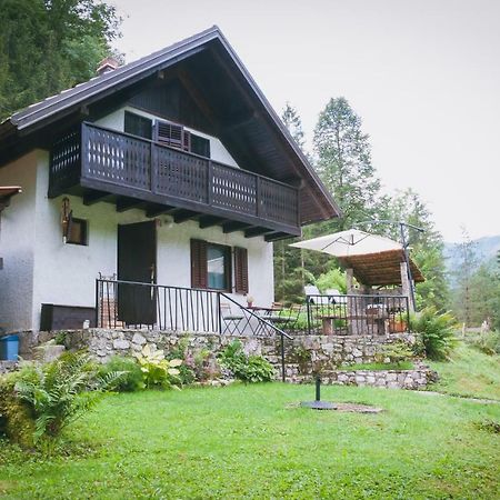 Naturalina Holiday House Gorenja Trebusa Екстер'єр фото