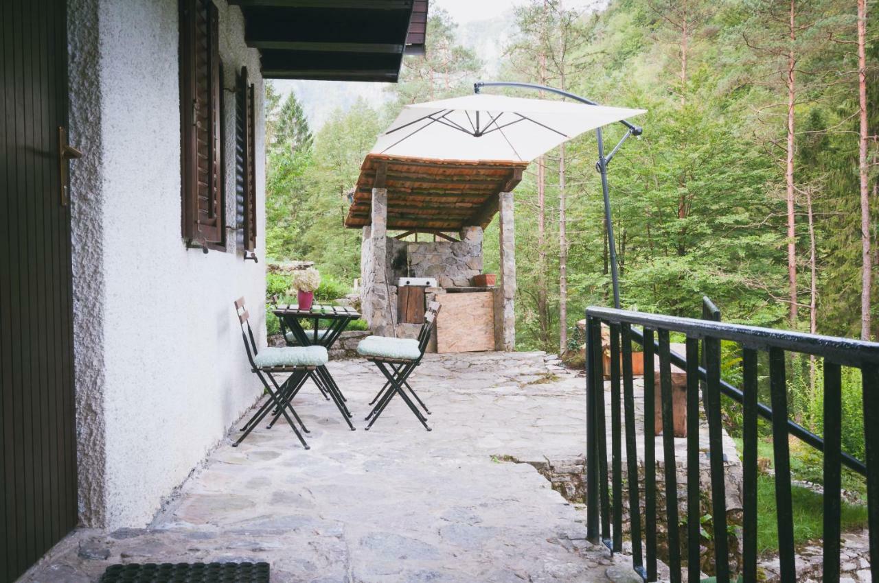 Naturalina Holiday House Gorenja Trebusa Екстер'єр фото